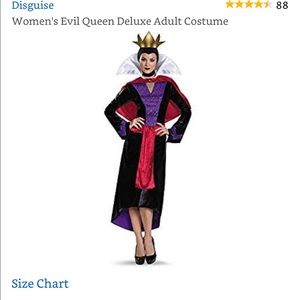 Women Disney Evil Queen Deluxe Adult Costume Sz S